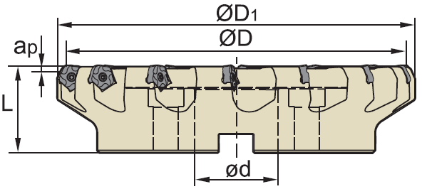 FMD02-250-C60-PN11-18  фреза