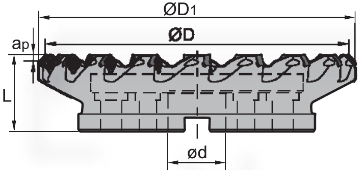 FMA11-250-C60-SN15-14 (ZCC-CT) Фреза